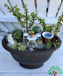 دیش گاردن NGD69 Natural garden dash