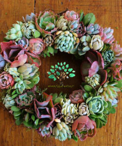 دیش گاردن NGD8 Natural garden dash