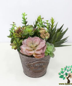 دیش گاردن NGD9 Natural garden dash