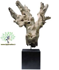 چوب های زینتی OW12 Ornamental wood
