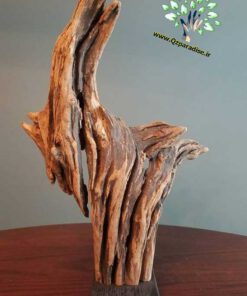 چوب های زینتی OW18 Ornamental wood
