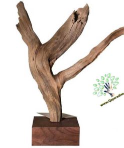 چوب های زینتی OW20 Ornamental wood