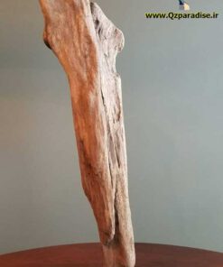 چوب های زینتی OW21 Ornamental wood