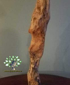 چوب های زینتی OW28 Ornamental wood