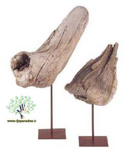 چوب های زینتی OW29 Ornamental wood