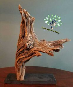 چوب های زینتی OW31 Ornamental wood