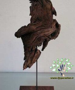 چوب های زینتی OW33 Ornamental wood