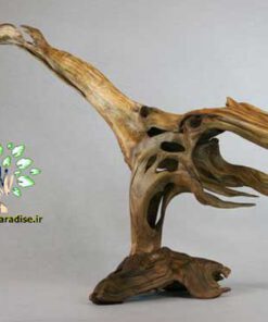 چوب های زینتی OW34 Ornamental wood