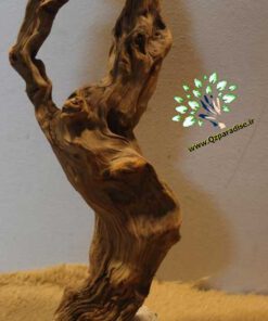 چوب های زینتی OW5 Ornamental wood