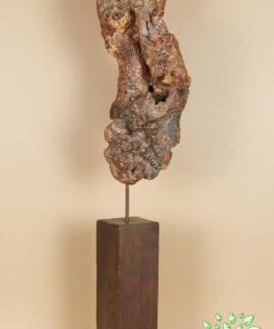 چوب های زینتی OW7 Ornamental wood