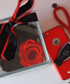 رز جاویدان RI100 Rose Immortal