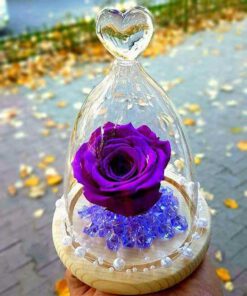 رز جاویدان RI102 Rose Immortal