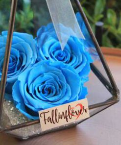 رز جاویدان RI103 Rose Immortal