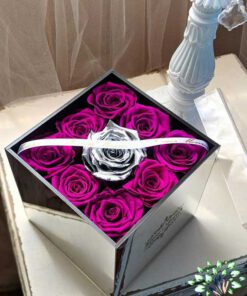 رز جاویدان RI105 Rose Immortal