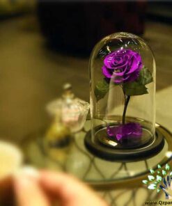 رز جاویدان RI106 Rose Immortal