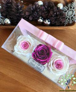 رز جاویدان RI107 Rose Immortal