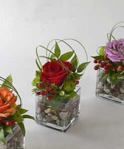 رز جاویدان RI109 Rose Immortal