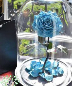 رز جاویدان RI110 Rose Immortal