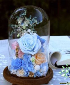 رز جاویدان RI111 Rose Immortal