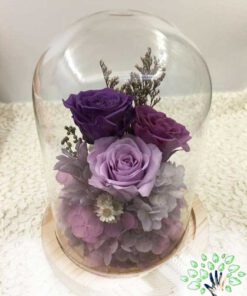 رز جاویدان RI112 Rose Immortal