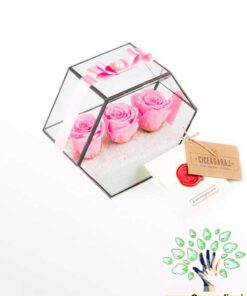 رز جاویدان RI114 Rose Immortal