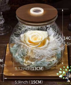 رز جاویدان RI115 Rose Immortal