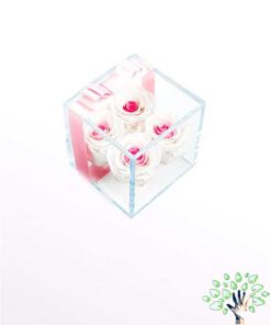 رز جاویدان RI118 Rose Immortal