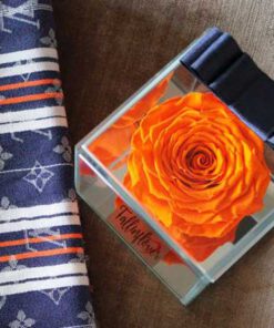 رز جاویدان RI12 Rose Immortal