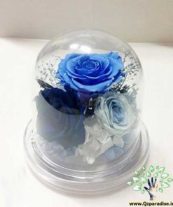 رز جاویدان RI120 Rose Immortal