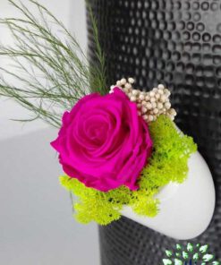 رز جاویدان RI122 Rose Immortal