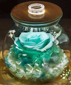 رز جاویدان RI123 Rose Immortal