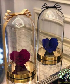 رز جاویدان RI126 Rose Immortal