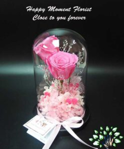 رز جاویدان RI130 Rose Immortal