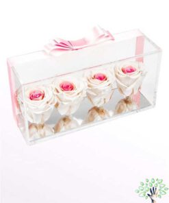 رز جاویدان RI132 Rose Immortal