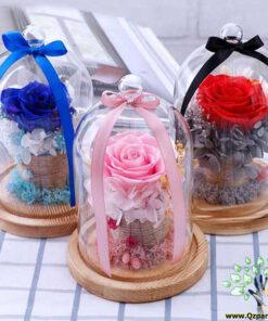 رز جاویدان RI134 Rose Immortal