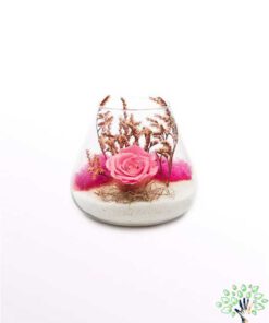 رز جاویدان RI135 Rose Immortal