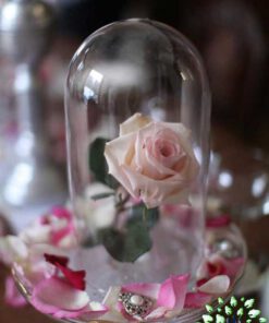 رز جاویدان RI137 Rose Immortal