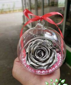 رز جاویدان RI138 Rose Immortal