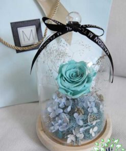 رز جاویدان RI14 Rose Immortal