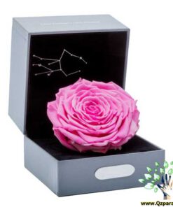 رز جاویدان RI140 Rose Immortal