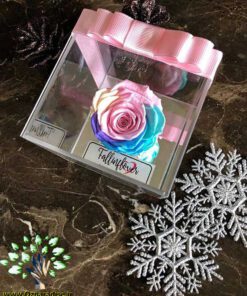 رز جاویدان RI141 Rose Immortal