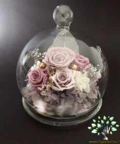 رز جاویدان RI144 Rose Immortal