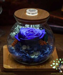 رز جاویدان RI147 Rose Immortal