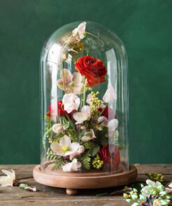 رز جاویدان RI148 Rose Immortal