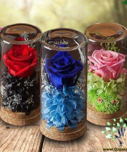 رز جاویدان RI155 Rose Immortal