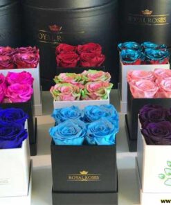 رز جاویدان RI156 Rose Immortal