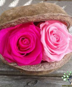 رز جاویدان RI20 Rose Immortal