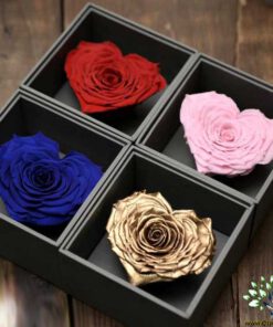 رز جاویدان RI21 Rose Immortal