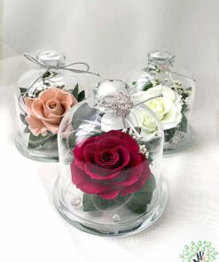 رز جاویدان RI22 Rose Immortal