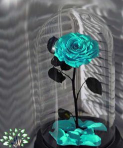 رز جاویدان RI23 Rose Immortal